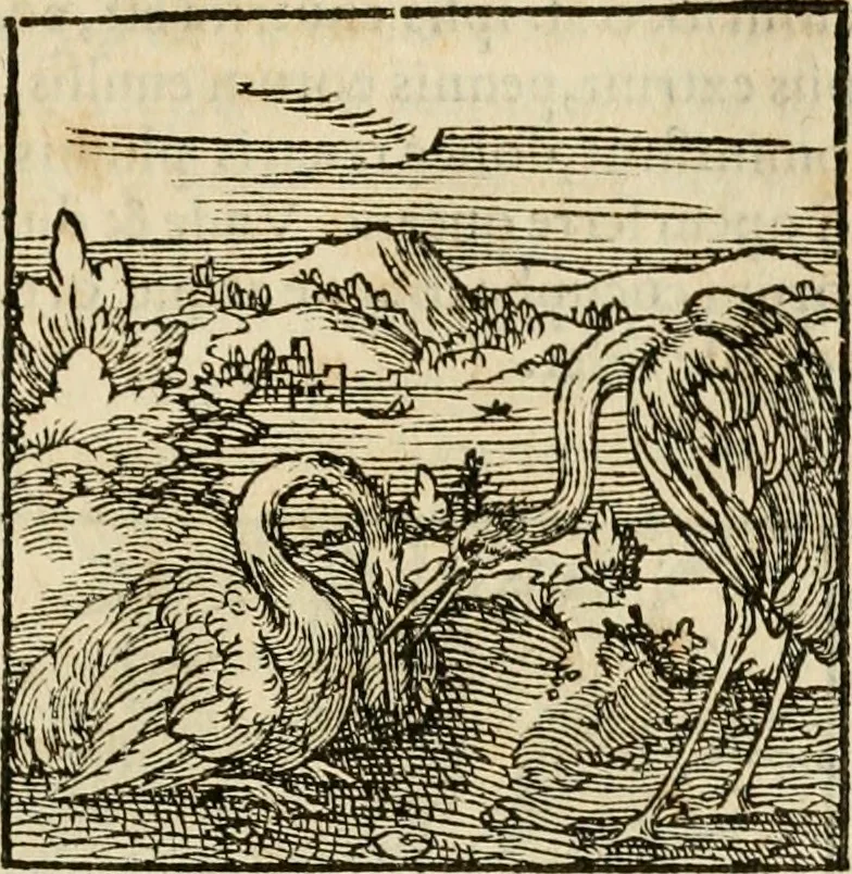 An illustration from Horou Apollonos neiloou Hieroglyphika = Ori Apollinis niliaci, De sacris notis & sculpturis libri duo, 1551, leaf 102