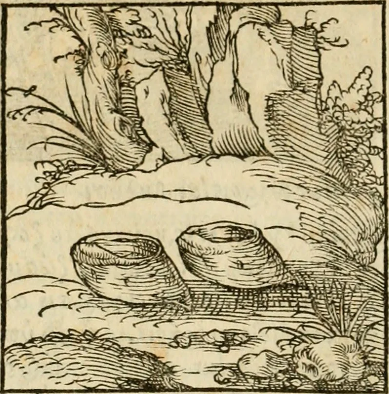 An illustration from Horou Apollonos neiloou Hieroglyphika = Ori Apollinis niliaci, De sacris notis & sculpturis libri duo, 1551, leaf 103