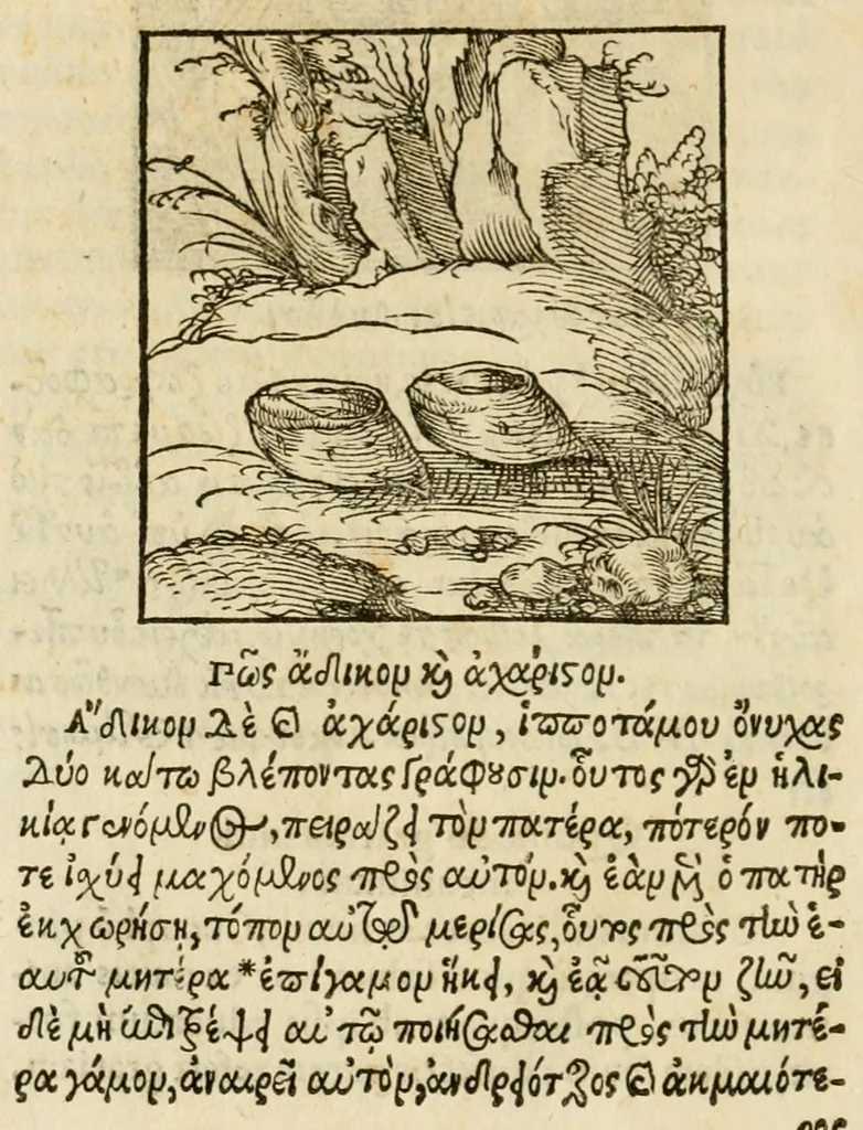 An illustration from Horou Apollonos neiloou Hieroglyphika = Ori Apollinis niliaci, De sacris notis & sculpturis libri duo, 1551, leaf 104