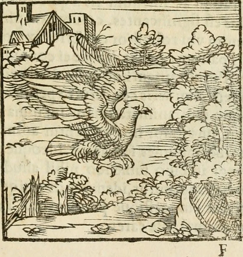 An illustration from Horou Apollonos neiloou Hieroglyphika = Ori Apollinis niliaci, De sacris notis & sculpturis libri duo, 1551, leaf 104