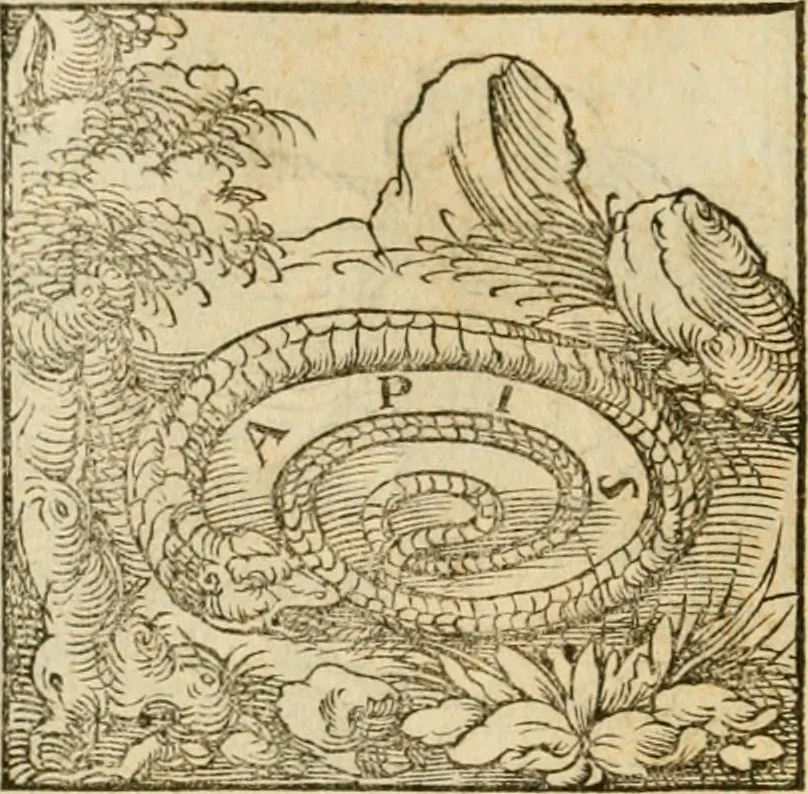 An illustration from Horou Apollonos neiloou Hieroglyphika = Ori Apollinis niliaci, De sacris notis & sculpturis libri duo, 1551, leaf 107