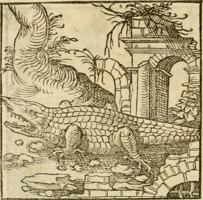 An illustration from Horou Apollonos neiloou Hieroglyphika = Ori Apollinis niliaci, De sacris notis & sculpturis libri duo, 1551, leaf 115