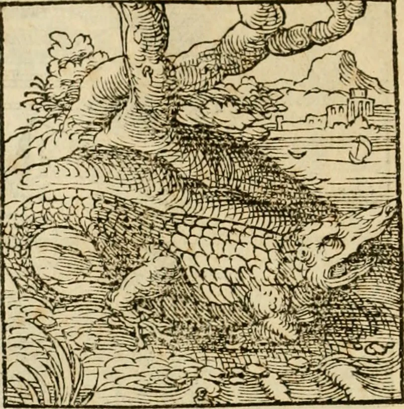 An illustration from Horou Apollonos neiloou Hieroglyphika = Ori Apollinis niliaci, De sacris notis & sculpturis libri duo, 1551, leaf 117