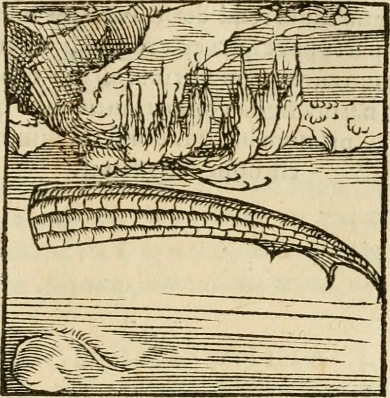 An illustration from Horou Apollonos neiloou Hieroglyphika = Ori Apollinis niliaci, De sacris notis & sculpturis libri duo, 1551, leaf 118