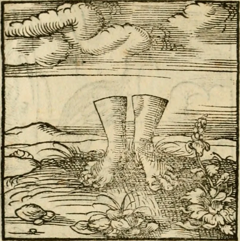 An illustration from Horou Apollonos neiloou Hieroglyphika = Ori Apollinis niliaci, De sacris notis & sculpturis libri duo, 1551, leaf 123