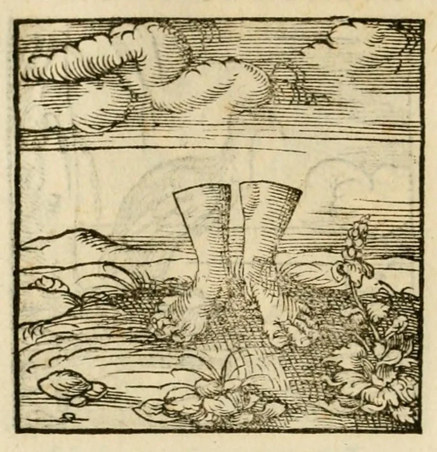 An illustration from Horou Apollonos neiloou Hieroglyphika = Ori Apollinis niliaci, De sacris notis & sculpturis libri duo, 1551, leaf 124