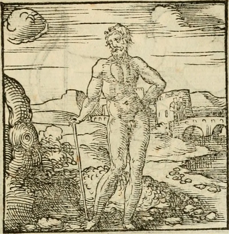 An illustration from Horou Apollonos neiloou Hieroglyphika = Ori Apollinis niliaci, De sacris notis & sculpturis libri duo, 1551, leaf 124