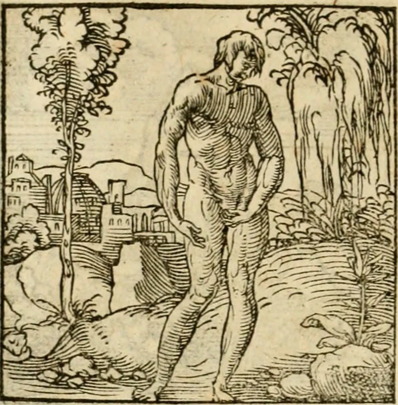 An illustration from Horou Apollonos neiloou Hieroglyphika = Ori Apollinis niliaci, De sacris notis & sculpturis libri duo, 1551, leaf 127