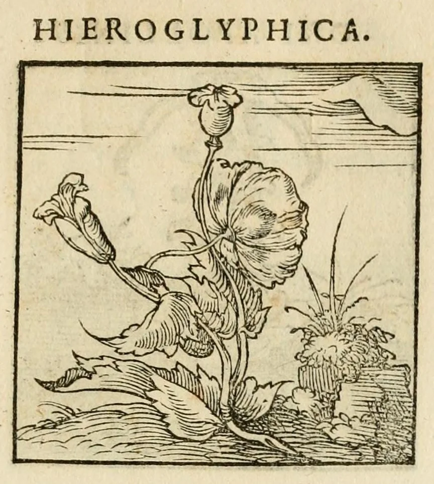 An illustration from Horou Apollonos neiloou Hieroglyphika = Ori Apollinis niliaci, De sacris notis & sculpturis libri duo, 1551, leaf 129