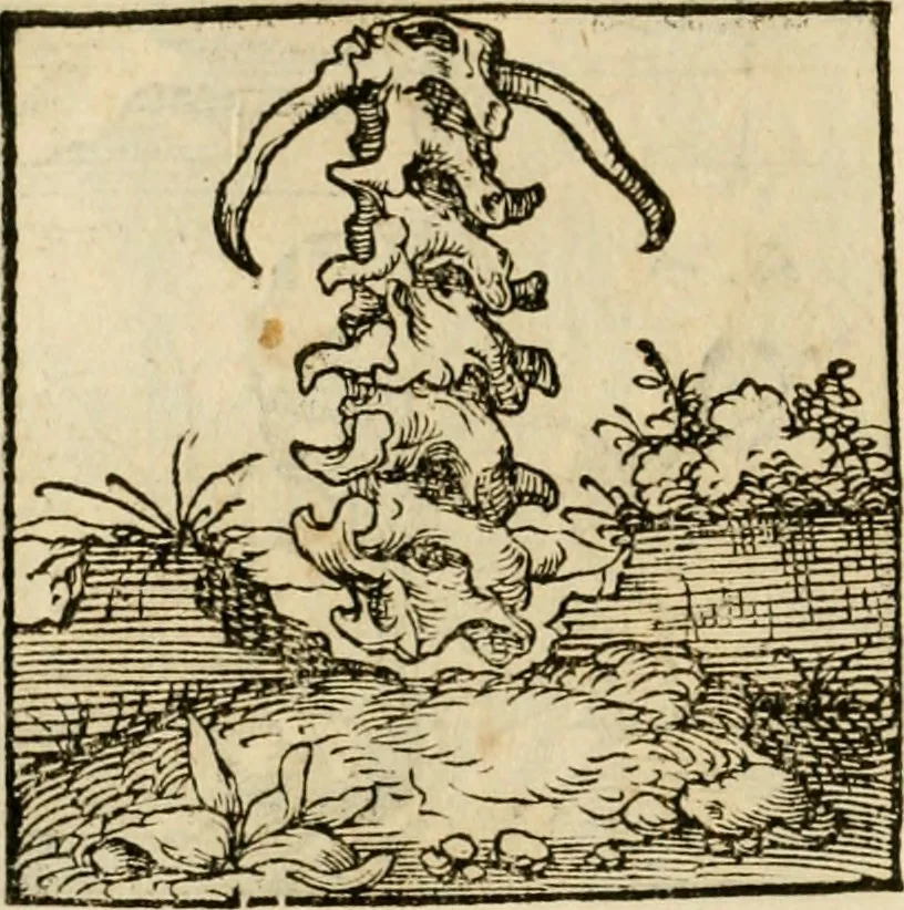 An illustration from Horou Apollonos neiloou Hieroglyphika = Ori Apollinis niliaci, De sacris notis & sculpturis libri duo, 1551, leaf 129