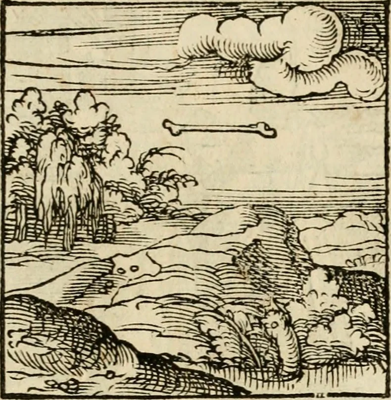 An illustration from Horou Apollonos neiloou Hieroglyphika = Ori Apollinis niliaci, De sacris notis & sculpturis libri duo, 1551, leaf 130