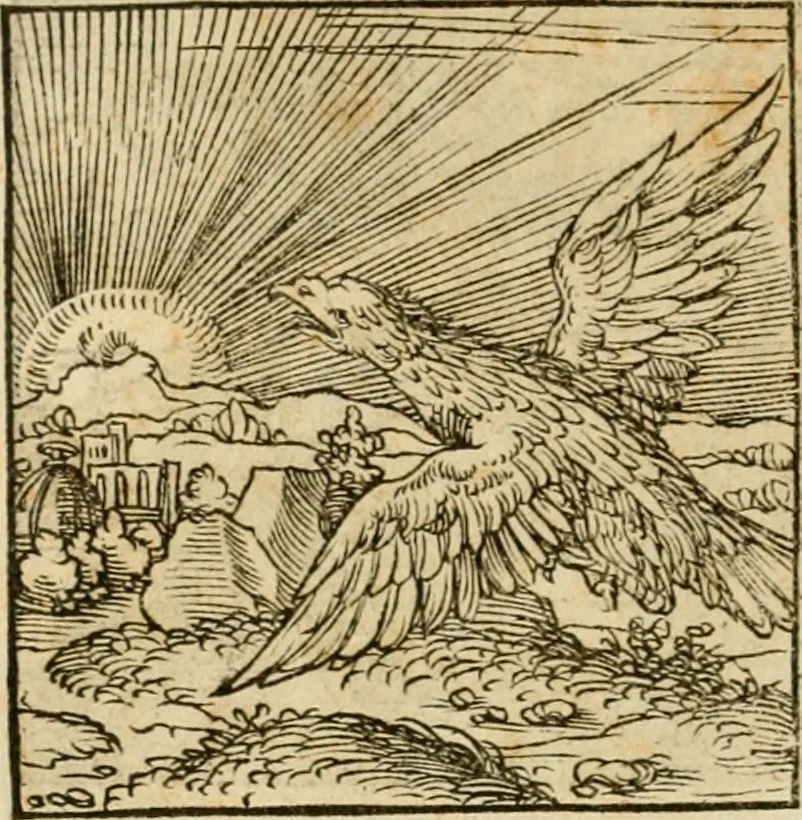 An illustration from Horou Apollonos neiloou Hieroglyphika = Ori Apollinis niliaci, De sacris notis & sculpturis libri duo, 1551, leaf 135