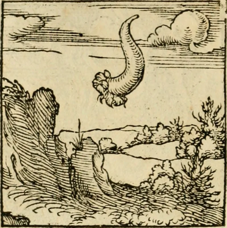 An illustration from Horou Apollonos neiloou Hieroglyphika = Ori Apollinis niliaci, De sacris notis & sculpturis libri duo, 1551, leaf 137