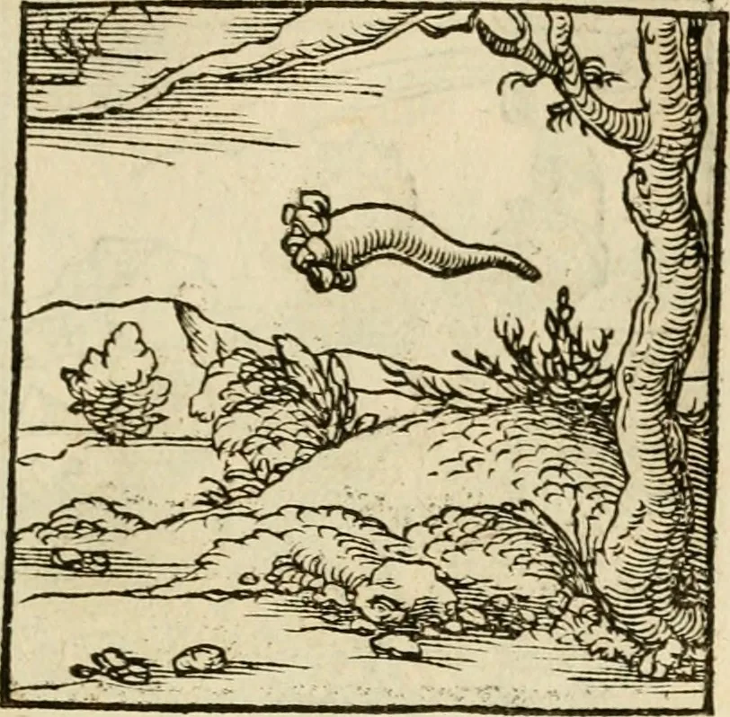An illustration from Horou Apollonos neiloou Hieroglyphika = Ori Apollinis niliaci, De sacris notis & sculpturis libri duo, 1551, leaf 138