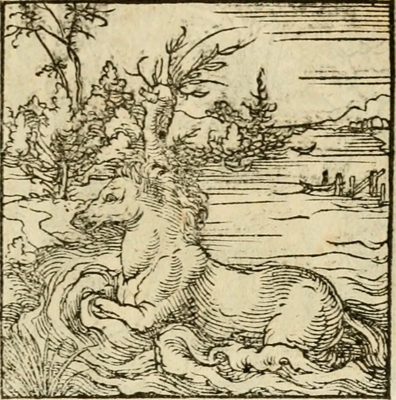 An illustration from Horou Apollonos neiloou Hieroglyphika = Ori Apollinis niliaci, De sacris notis & sculpturis libri duo, 1551, leaf 140