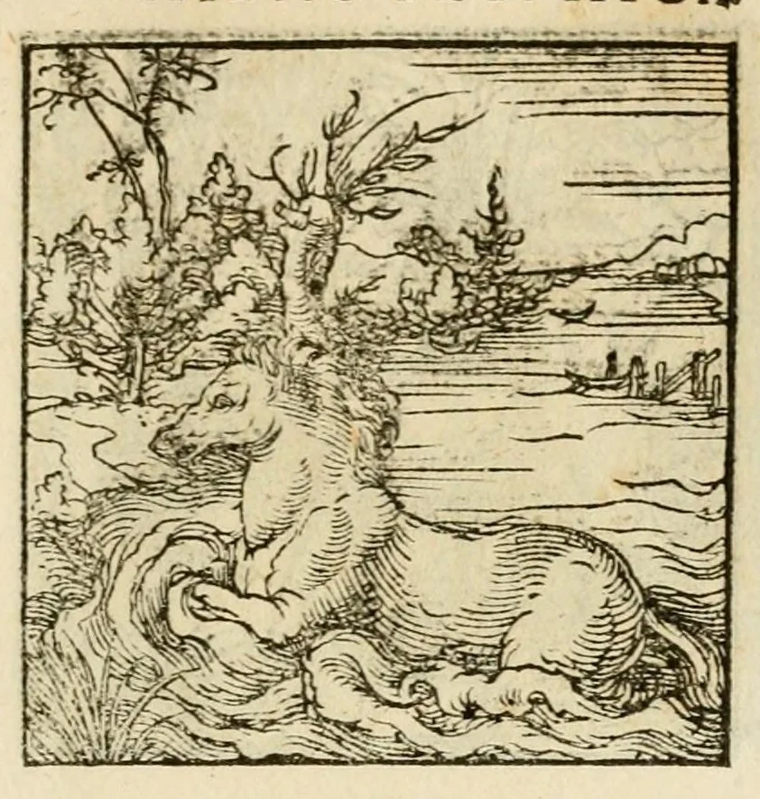 An illustration from Horou Apollonos neiloou Hieroglyphika = Ori Apollinis niliaci, De sacris notis & sculpturis libri duo, 1551, leaf 141