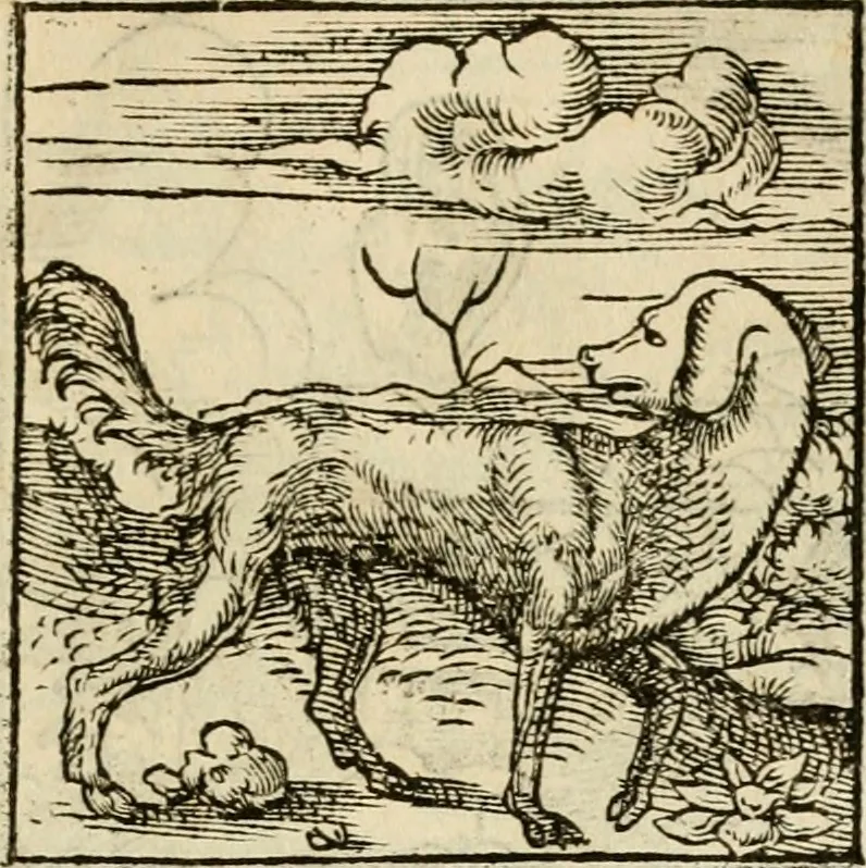 An illustration from Horou Apollonos neiloou Hieroglyphika = Ori Apollinis niliaci, De sacris notis & sculpturis libri duo, 1551, leaf 142