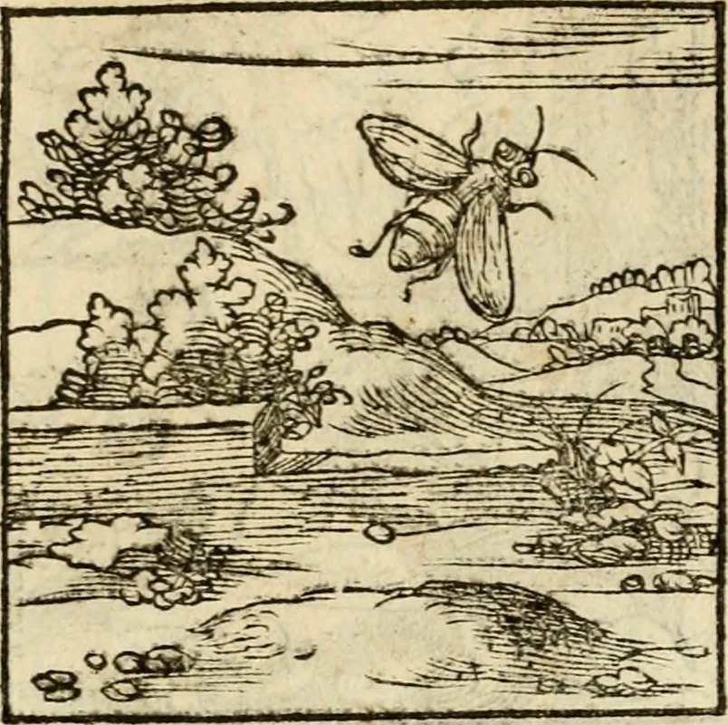 An illustration from Horou Apollonos neiloou Hieroglyphika = Ori Apollinis niliaci, De sacris notis & sculpturis libri duo, 1551, leaf 144