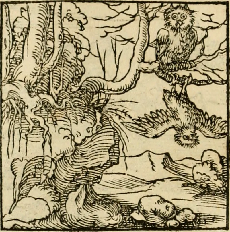 An illustration from Horou Apollonos neiloou Hieroglyphika = Ori Apollinis niliaci, De sacris notis & sculpturis libri duo, 1551, leaf 145