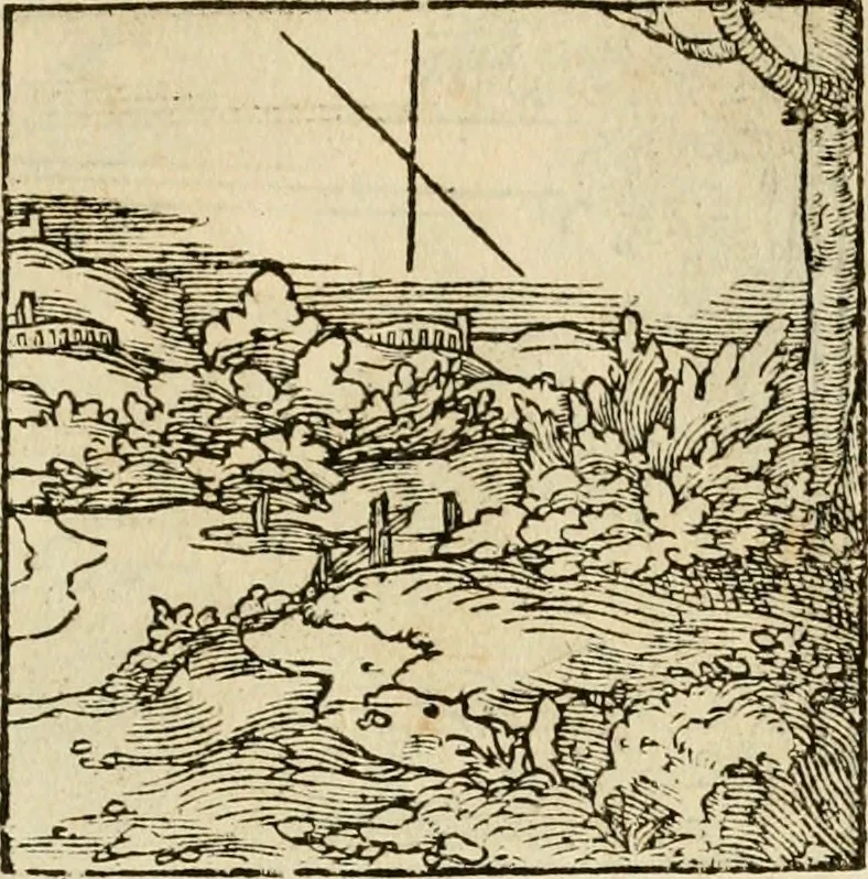 An illustration from Horou Apollonos neiloou Hieroglyphika = Ori Apollinis niliaci, De sacris notis & sculpturis libri duo, 1551, leaf 150