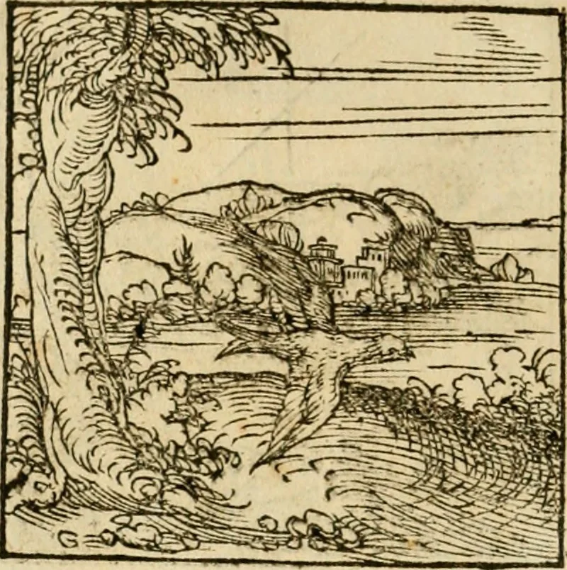 An illustration from Horou Apollonos neiloou Hieroglyphika = Ori Apollinis niliaci, De sacris notis & sculpturis libri duo, 1551, leaf 151
