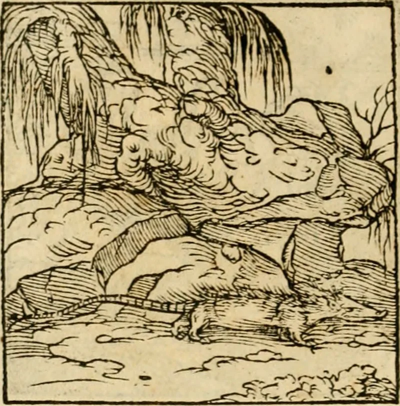 An illustration from Horou Apollonos neiloou Hieroglyphika = Ori Apollinis niliaci, De sacris notis & sculpturis libri duo, 1551, leaf 153
