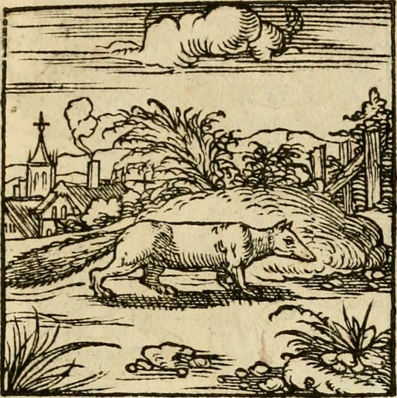An illustration from Horou Apollonos neiloou Hieroglyphika = Ori Apollinis niliaci, De sacris notis & sculpturis libri duo, 1551, leaf 156