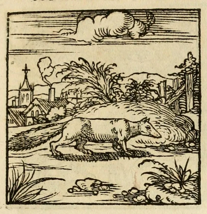 An illustration from Horou Apollonos neiloou Hieroglyphika = Ori Apollinis niliaci, De sacris notis & sculpturis libri duo, 1551, leaf 157