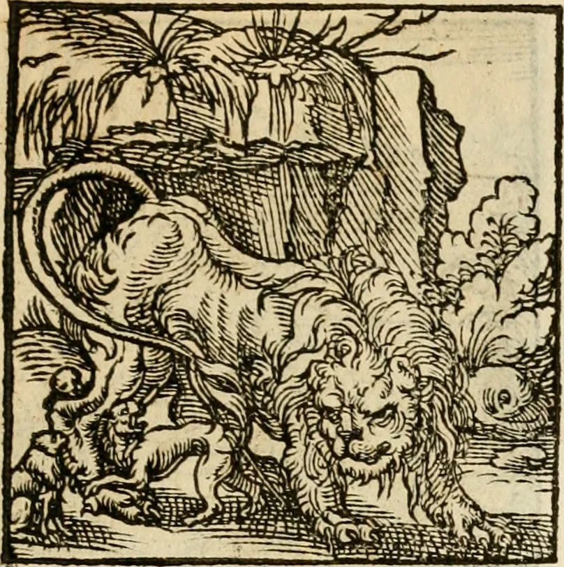 An illustration from Horou Apollonos neiloou Hieroglyphika = Ori Apollinis niliaci, De sacris notis & sculpturis libri duo, 1551, leaf 158