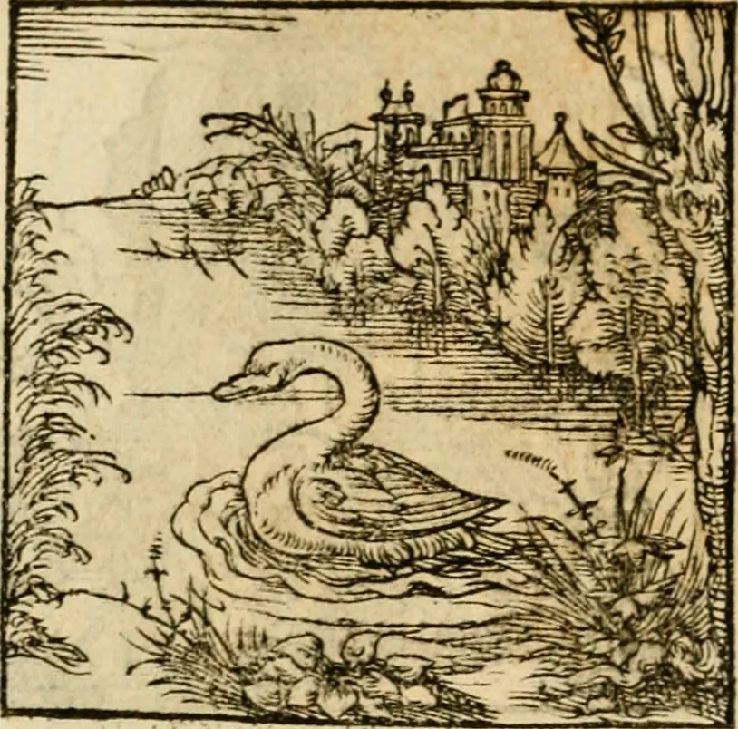 An illustration from Horou Apollonos neiloou Hieroglyphika = Ori Apollinis niliaci, De sacris notis & sculpturis libri duo, 1551, leaf 159