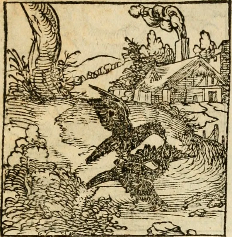 An illustration from Horou Apollonos neiloou Hieroglyphika = Ori Apollinis niliaci, De sacris notis & sculpturis libri duo, 1551, leaf 160