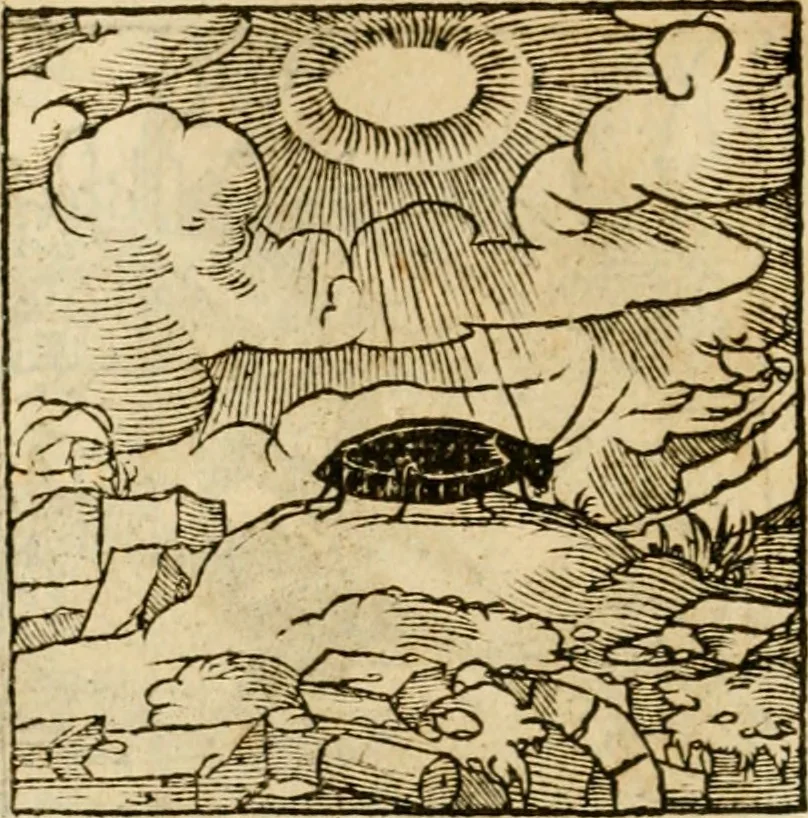 An illustration from Horou Apollonos neiloou Hieroglyphika = Ori Apollinis niliaci, De sacris notis & sculpturis libri duo, 1551, leaf 161