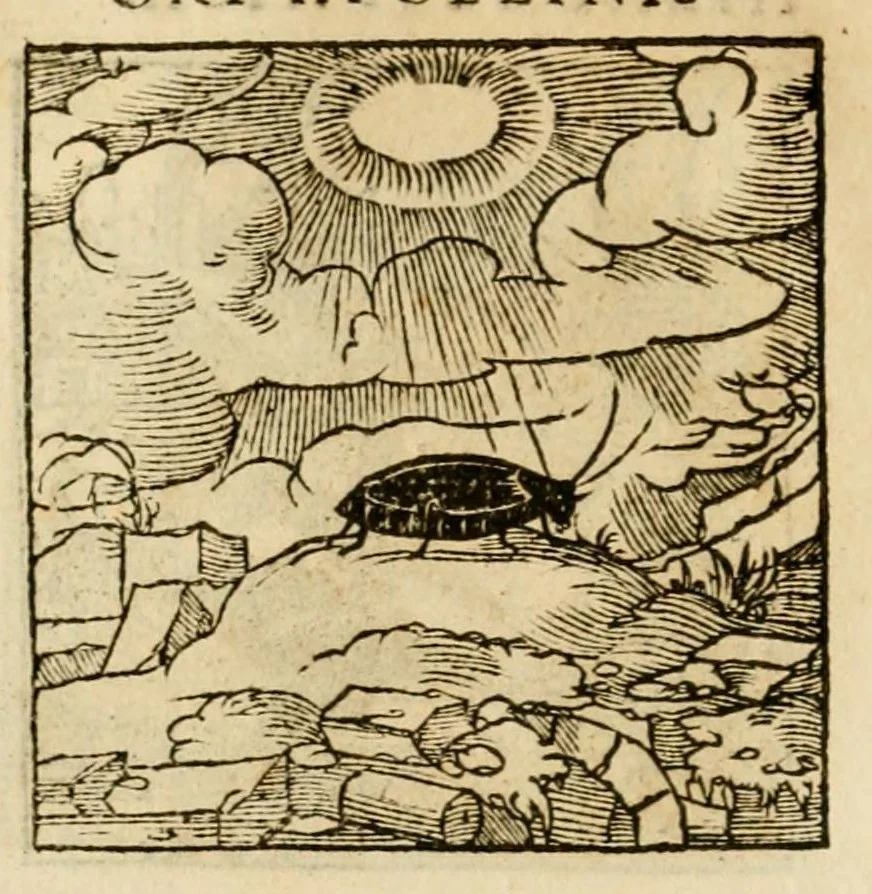 An illustration from Horou Apollonos neiloou Hieroglyphika = Ori Apollinis niliaci, De sacris notis & sculpturis libri duo, 1551, leaf 162