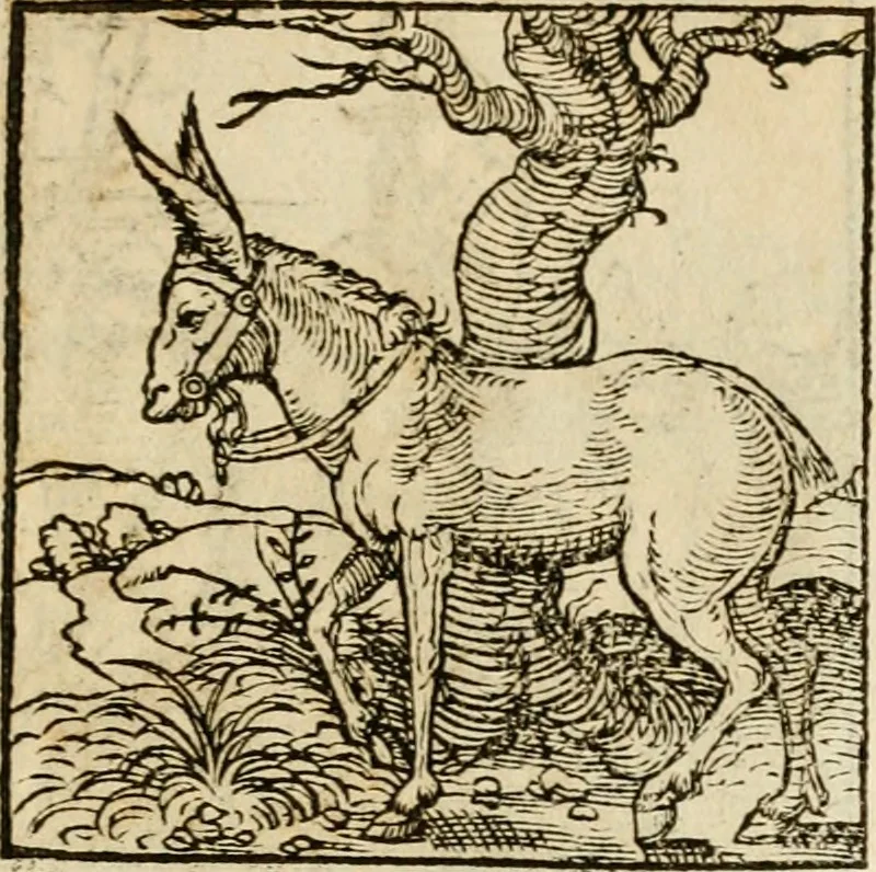 An illustration from Horou Apollonos neiloou Hieroglyphika = Ori Apollinis niliaci, De sacris notis & sculpturis libri duo, 1551, leaf 162