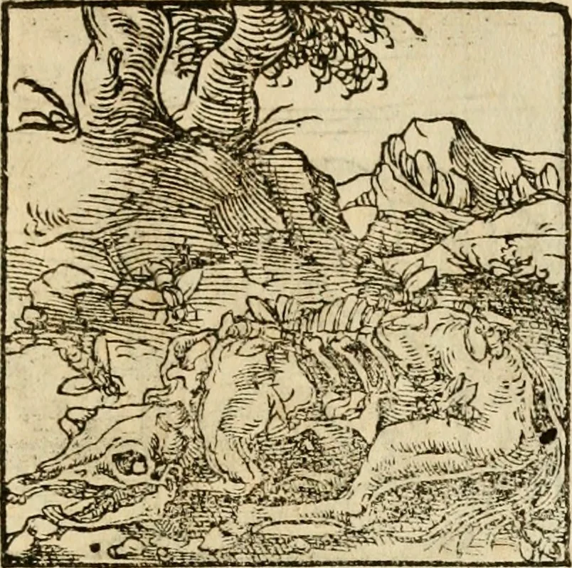 An illustration from Horou Apollonos neiloou Hieroglyphika = Ori Apollinis niliaci, De sacris notis & sculpturis libri duo, 1551, leaf 164
