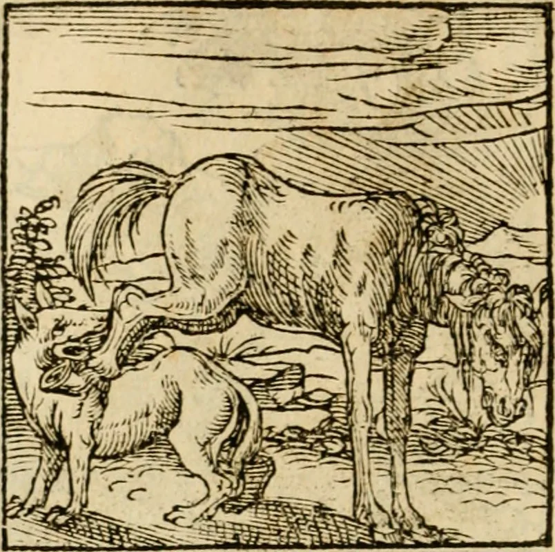 An illustration from Horou Apollonos neiloou Hieroglyphika = Ori Apollinis niliaci, De sacris notis & sculpturis libri duo, 1551, leaf 165