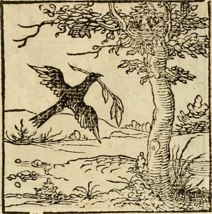An illustration from Horou Apollonos neiloou Hieroglyphika = Ori Apollinis niliaci, De sacris notis & sculpturis libri duo, 1551, leaf 166