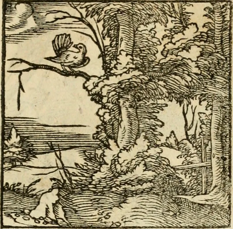 An illustration from Horou Apollonos neiloou Hieroglyphika = Ori Apollinis niliaci, De sacris notis & sculpturis libri duo, 1551, leaf 168