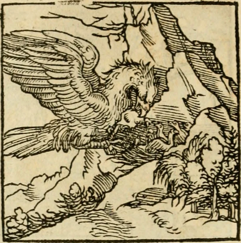 An illustration from Horou Apollonos neiloou Hieroglyphika = Ori Apollinis niliaci, De sacris notis & sculpturis libri duo, 1551, leaf 169