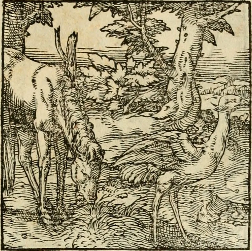 An illustration from Horou Apollonos neiloou Hieroglyphika = Ori Apollinis niliaci, De sacris notis & sculpturis libri duo, 1551, leaf 170