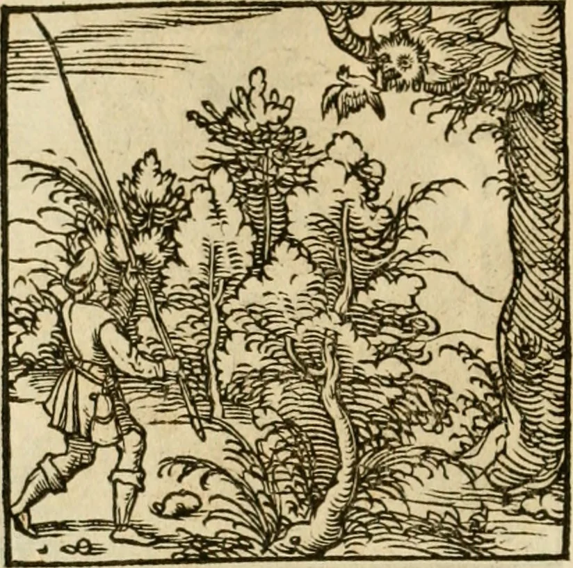 An illustration from Horou Apollonos neiloou Hieroglyphika = Ori Apollinis niliaci, De sacris notis & sculpturis libri duo, 1551, leaf 171