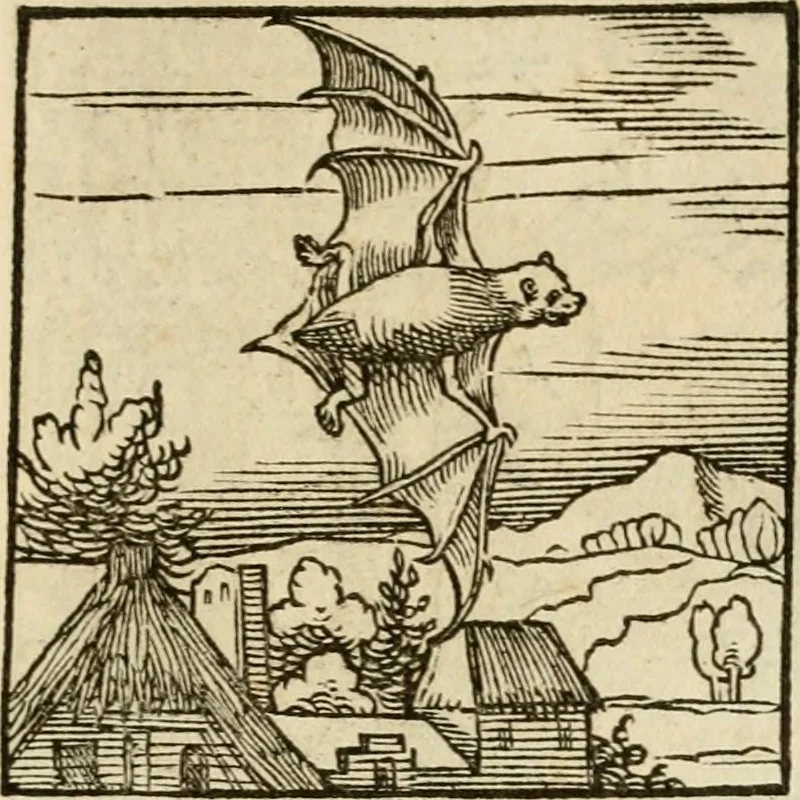 An illustration from Horou Apollonos neiloou Hieroglyphika = Ori Apollinis niliaci, De sacris notis & sculpturis libri duo, 1551, leaf 172