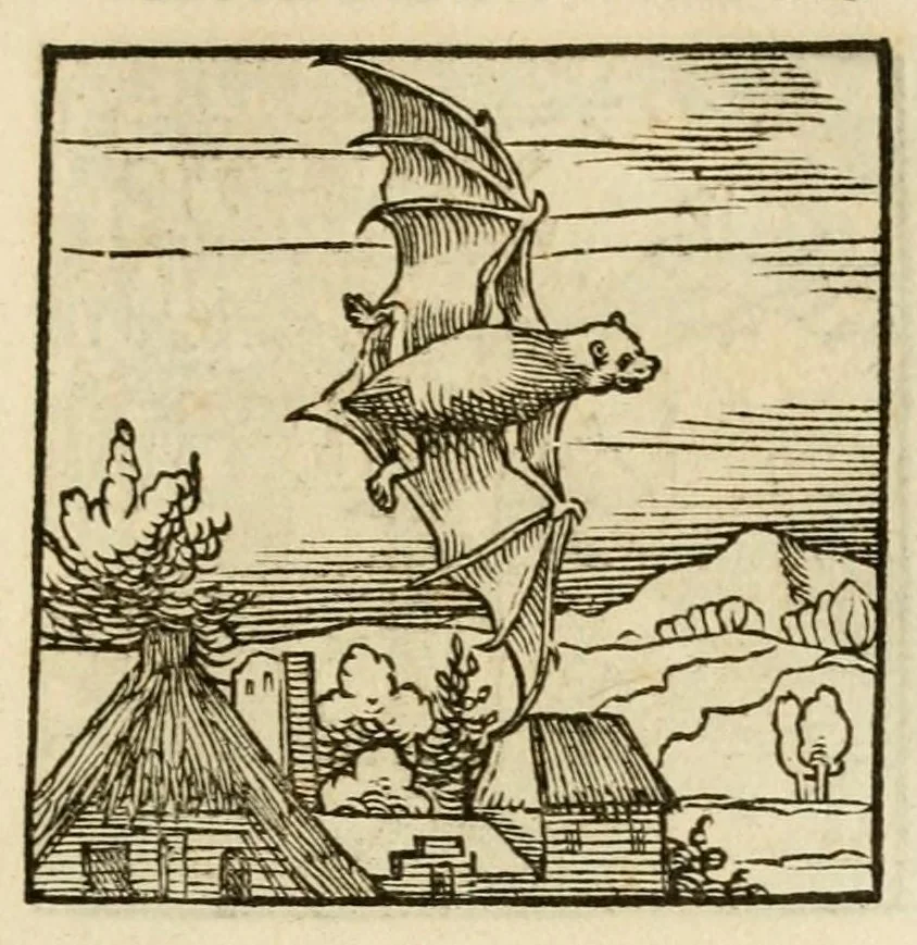 An illustration from Horou Apollonos neiloou Hieroglyphika = Ori Apollinis niliaci, De sacris notis & sculpturis libri duo, 1551, leaf 173