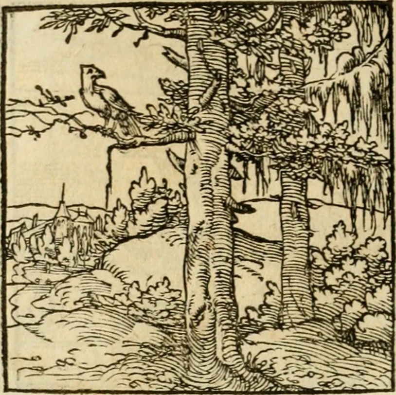 An illustration from Horou Apollonos neiloou Hieroglyphika = Ori Apollinis niliaci, De sacris notis & sculpturis libri duo, 1551, leaf 173