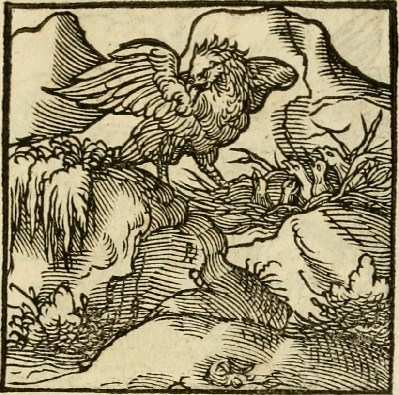 An illustration from Horou Apollonos neiloou Hieroglyphika = Ori Apollinis niliaci, De sacris notis & sculpturis libri duo, 1551, leaf 176