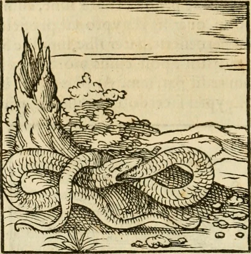 An illustration from Horou Apollonos neiloou Hieroglyphika = Ori Apollinis niliaci, De sacris notis & sculpturis libri duo, 1551, leaf 179