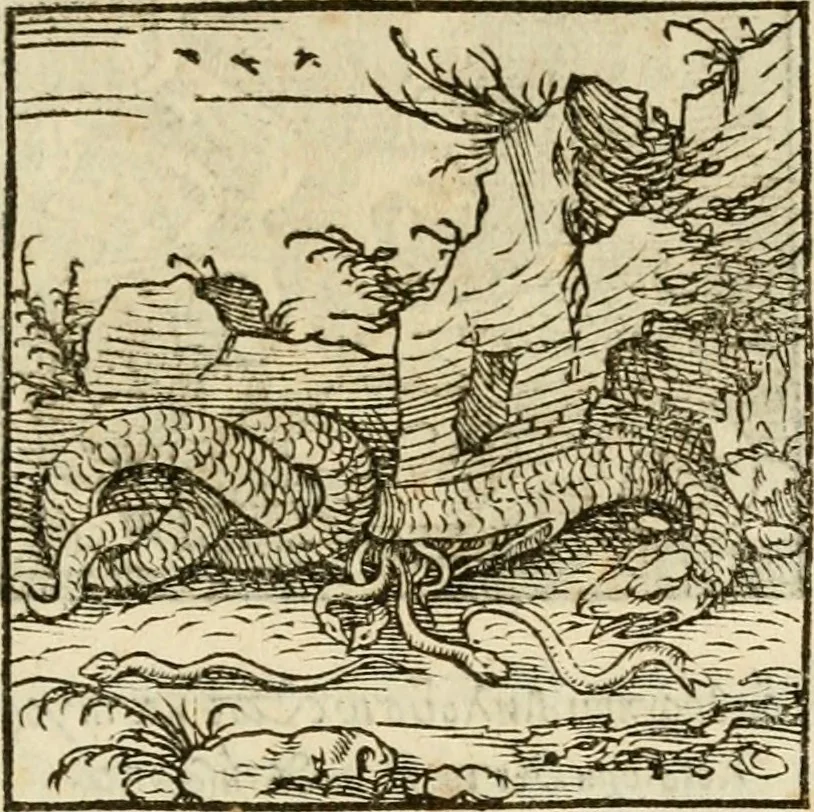 An illustration from Horou Apollonos neiloou Hieroglyphika = Ori Apollinis niliaci, De sacris notis & sculpturis libri duo, 1551, leaf 180