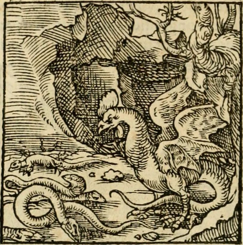 An illustration from Horou Apollonos neiloou Hieroglyphika = Ori Apollinis niliaci, De sacris notis & sculpturis libri duo, 1551, leaf 181