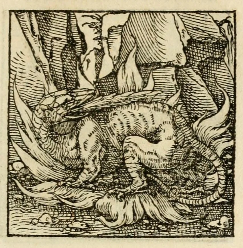 An illustration from Horou Apollonos neiloou Hieroglyphika = Ori Apollinis niliaci, De sacris notis & sculpturis libri duo, 1551, leaf 183