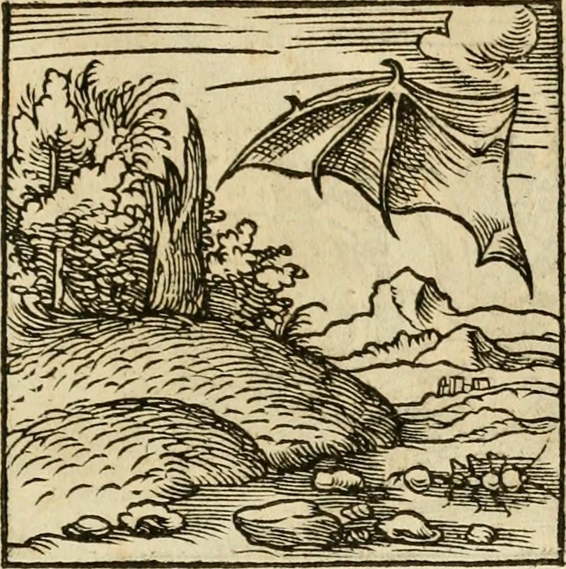 An illustration from Horou Apollonos neiloou Hieroglyphika = Ori Apollinis niliaci, De sacris notis & sculpturis libri duo, 1551, leaf 184